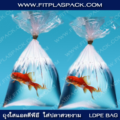LDPE Bag (Low Density Polyethylene) ถุงพีอี ถุงเย็น